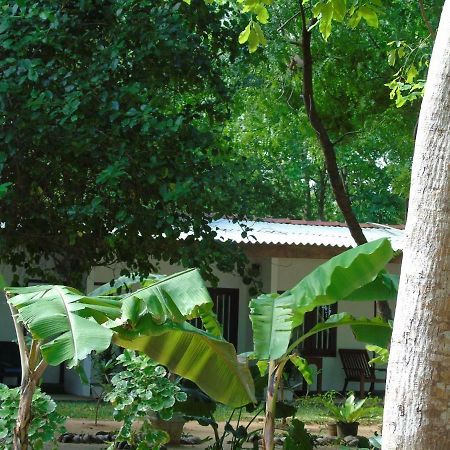 Talalla Coconut Hotel Dış mekan fotoğraf
