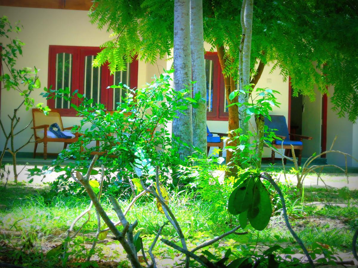 Talalla Coconut Hotel Dış mekan fotoğraf