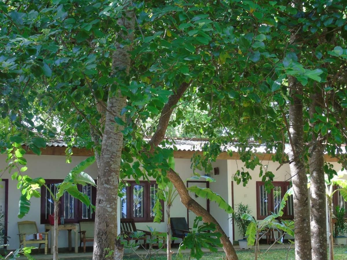 Talalla Coconut Hotel Dış mekan fotoğraf
