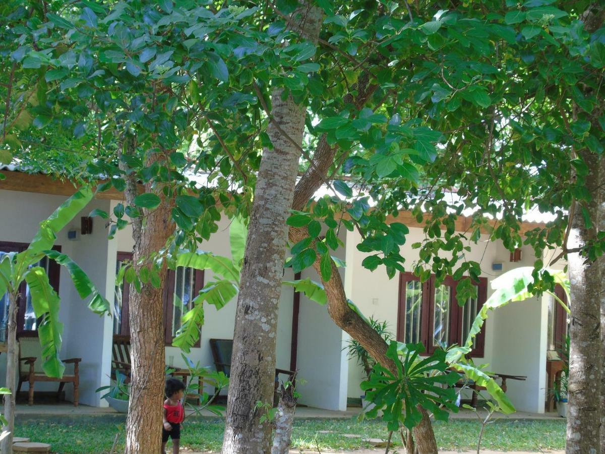 Talalla Coconut Hotel Dış mekan fotoğraf