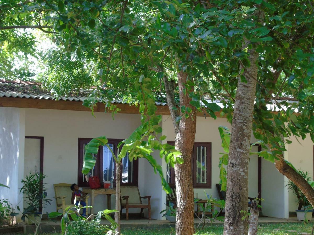 Talalla Coconut Hotel Dış mekan fotoğraf