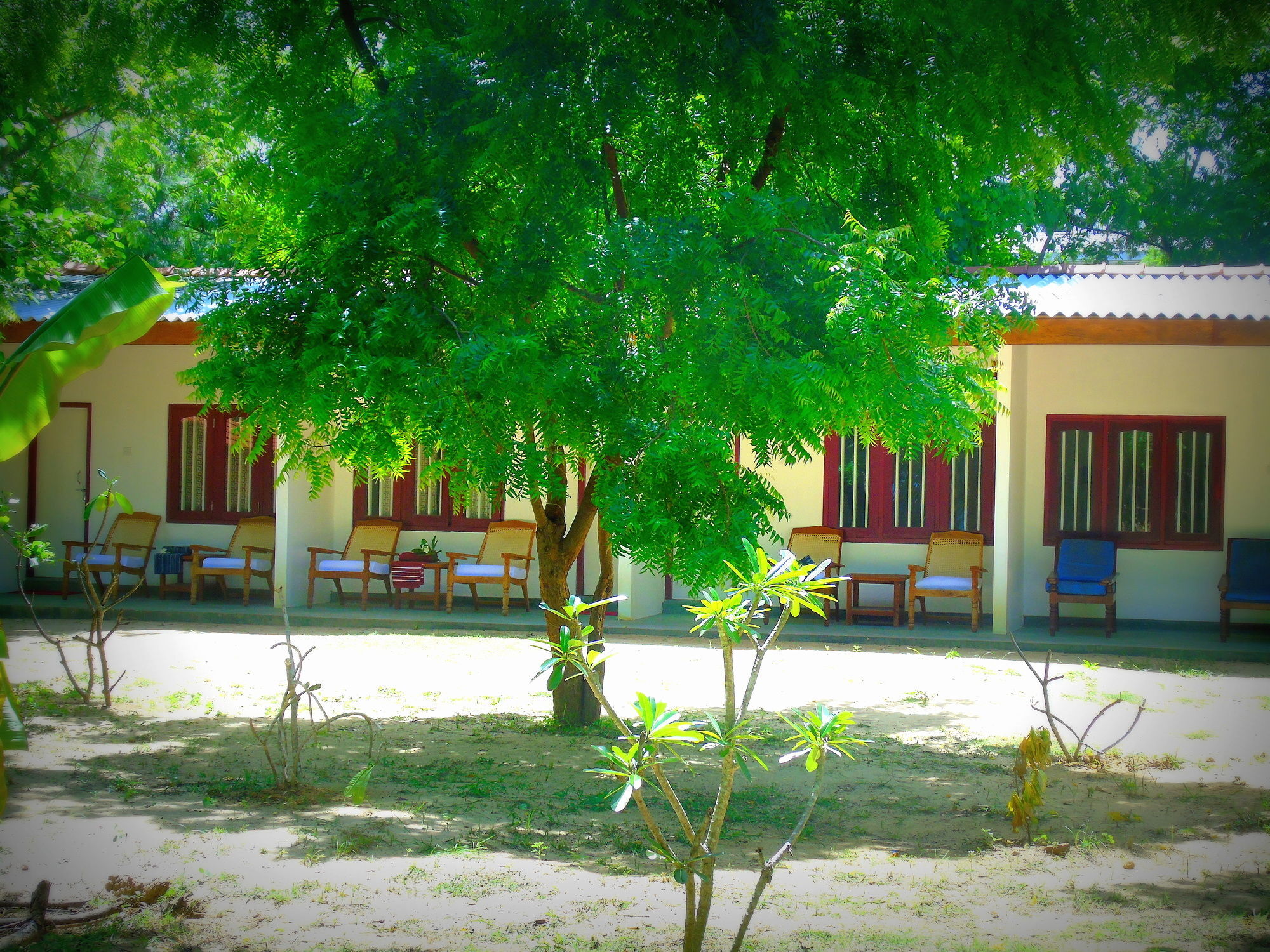 Talalla Coconut Hotel Dış mekan fotoğraf